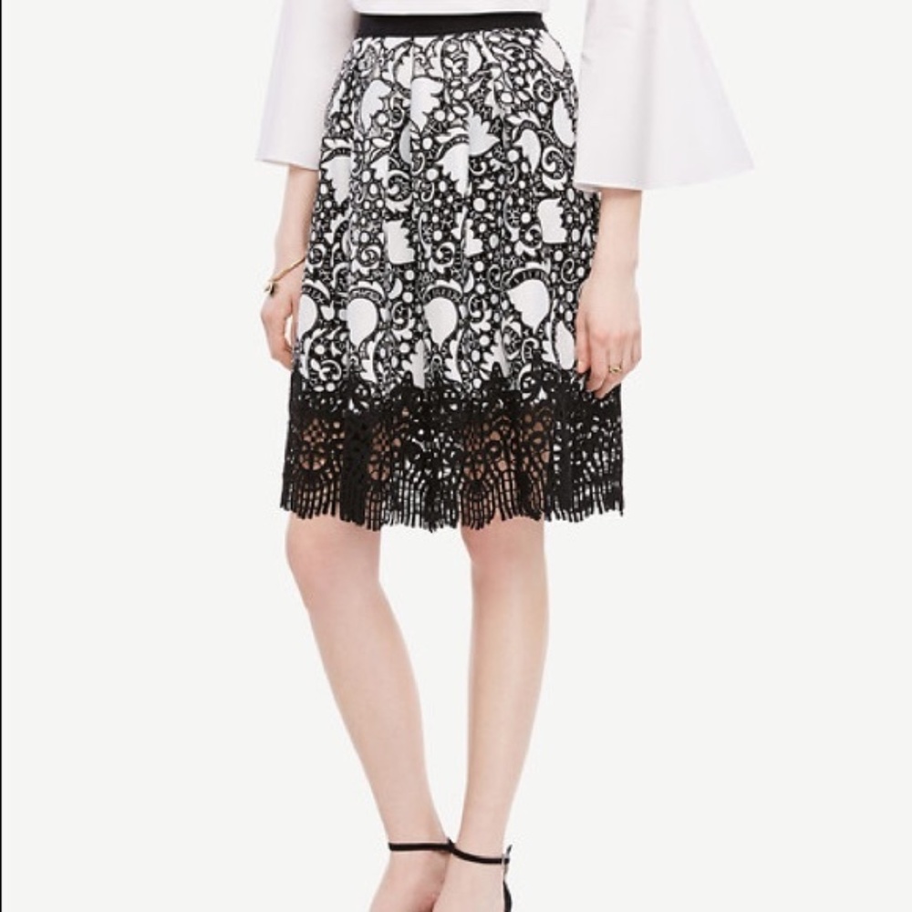 Ann Taylor Tulip Lace Skirt 🌷